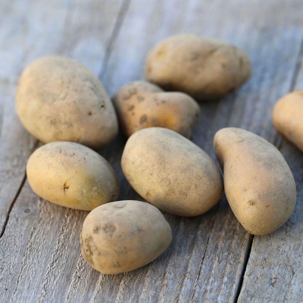 Pomme de terre (ferme) " allians" BIO - 2,5 kg 