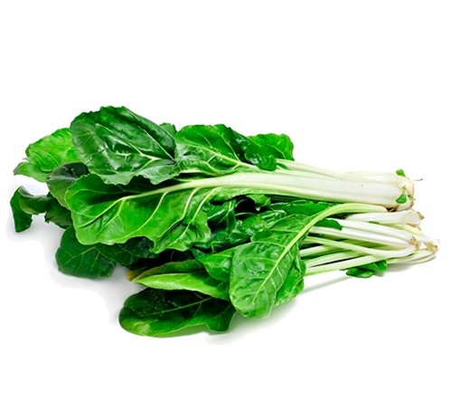 Bette Blanche BIO - (500 g ) -  Botte 