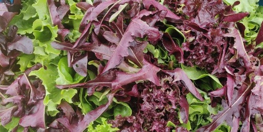 Mesclun BIO - 200 g