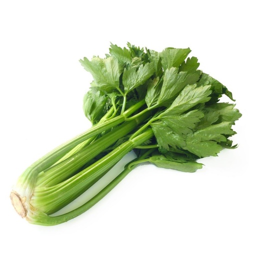 Céléri Vert BIO - 1 Pc 