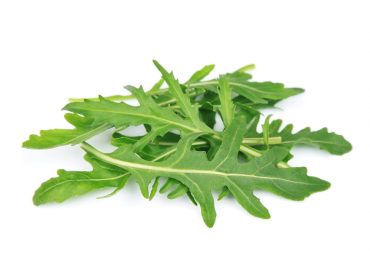 Roquette BIO - 1 botte 