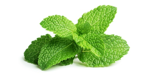 Menthe verte BIO - 1 botte